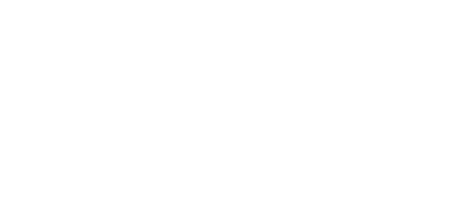 095 imm. logo (2)